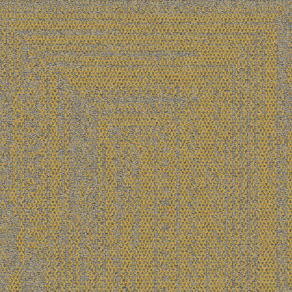 9707-004-000 Maize